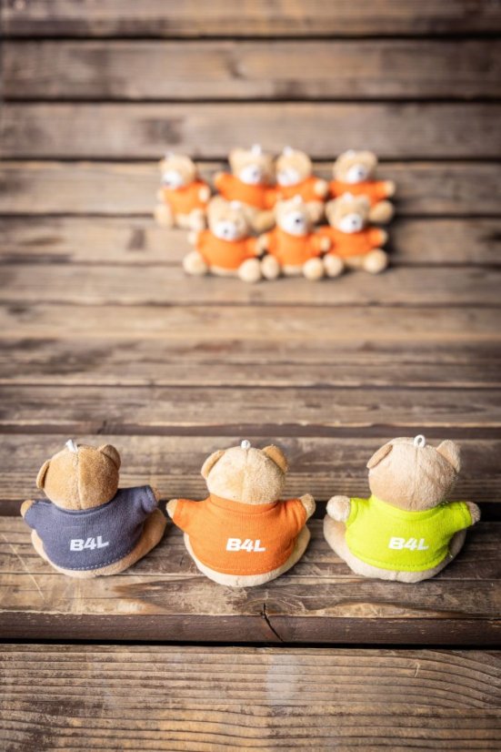 Keychain "My little teddy" - Colour: Green